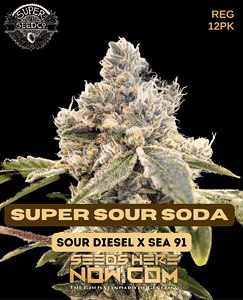 Super Sour Soda (regular) - Super Seed Co.