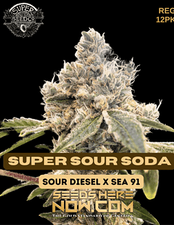 Super Seed Co. - Super Sour Soda {REG} [12pk]super sour soda