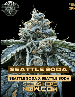 Super Seed Co. - Seattle Soda {FEM} [3pk]seattle soda