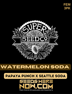 Super Seed Co. - Watermelon Soda {FEM} [3pk]Watermelon Soda