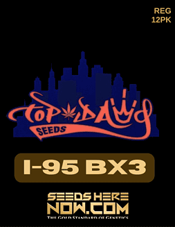 Top Dawg Seeds - I-95 BX3 {REG} [12pk]I-95 BX3