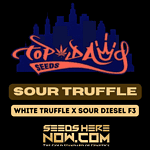 Sour Truffle (Regular) - Top Dawg Seeds