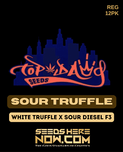 Sour Truffle (regular) - Top Dawg Seeds