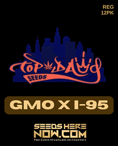 Gmo X I-95 (regular) - Top Dawg Seeds