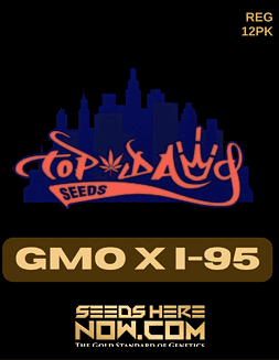 Top Dawg Seeds - GMO x I-95 {REG} [12pk]Gmo X I-95