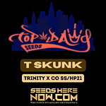 T Skunk (Regular) - Top Dawg Seeds