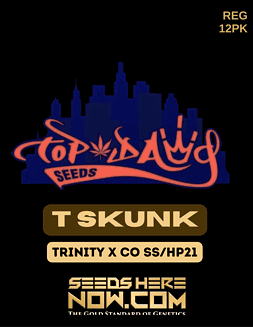Top Dawg Seeds - T Skunk {REG} [12pk]T Skunk