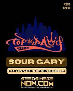Sour Gary (regular) - Top Dawg Seeds