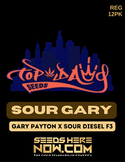 Top Dawg Seeds - Sour Gary {REG} [12pk]Sour Gary