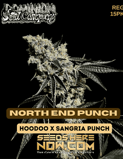 Dominion Seed Company - North End Punch {REG} [15pk]North End Punch