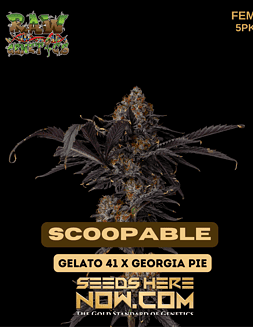 scoopable