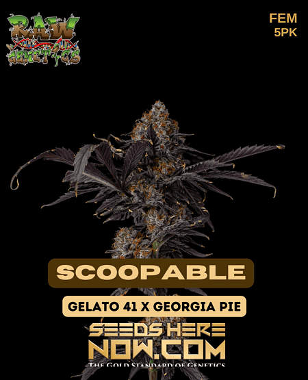 Scoopable Seeds Picture