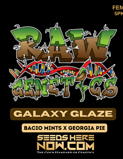 Raw Genetics - Galaxy Glaze {FEM} [5pk]Galaxy Glaze