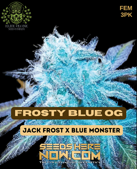 Frosty Blue O.g. Pot Seeds