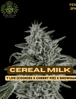 Elite Clone Seed Company - Cereal Milk {FEM} [3pk]Cereal Milk