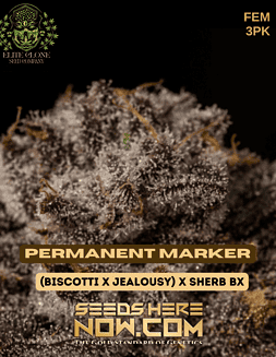 Elite Clone Seed Company - Permanent Marker {FEM} [3pk]Permanent Marker strain pot seeds