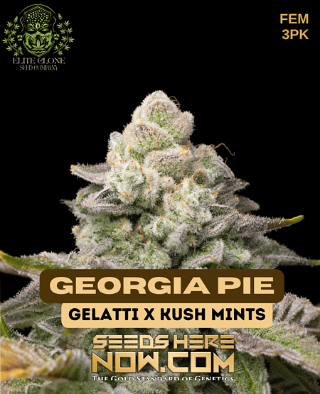 Georgia Pie Pot Seeds