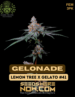 Elite Clone Seed Company - Gelonade {FEM} [3pk]gelonade pot seeds