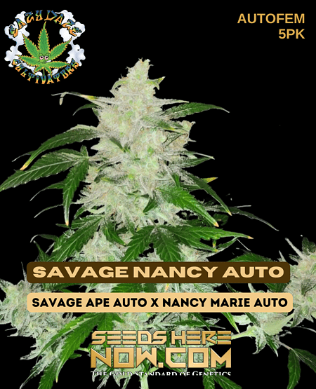 Savage Nancy Auto