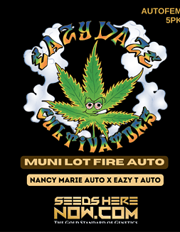 Eazy Daze Cultivators - Muni Lot Fire Auto {AUTOFEM} [5pk]muni lot fire auto
