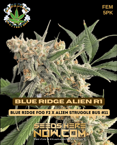 Blue Ridge Alien R1