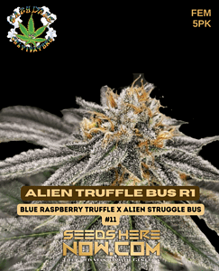 Alien Truffle Bus R1 (feminized) - Eazy Daze Cultivators