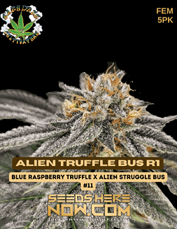 Eazy Daze Cultivators - Alien Truffle Bus R1 {FEM} [5pk]alien truffle bus