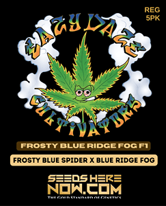 Frosty Blue Ridge Fog (regular) - Eazy Daze Cultivators