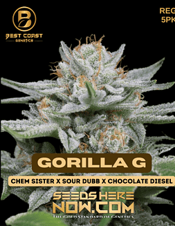Best Coast Genetics - Gorilla Glue {REG} [5pk]Gorilla G