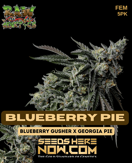 Raw Blueberry Pie