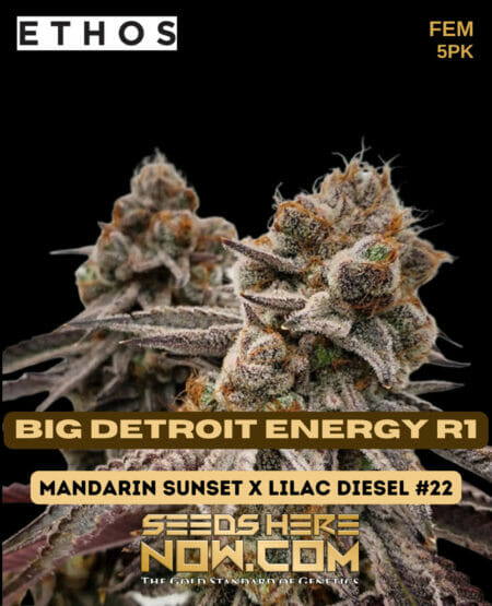Big Detroit Energy