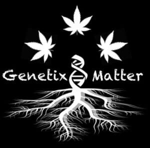 Genetix Matter