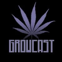GrowCast: James Bean on Big Breeder Collabs, Strain History, Cannabis Scams, and More