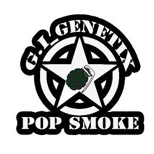 G.i. Genetix