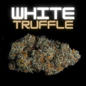 White Truffle Strain Review and Information