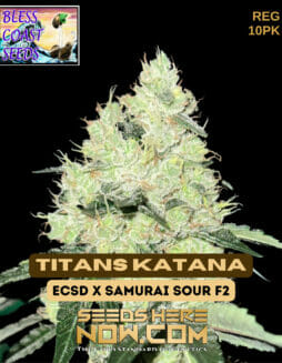Bless Coast Seeds - Titans Katana {REG} [10pk]Bless Coast Titans Katana