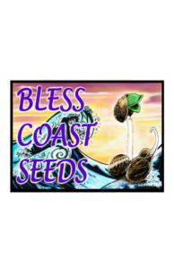 Bless Coast Seeds