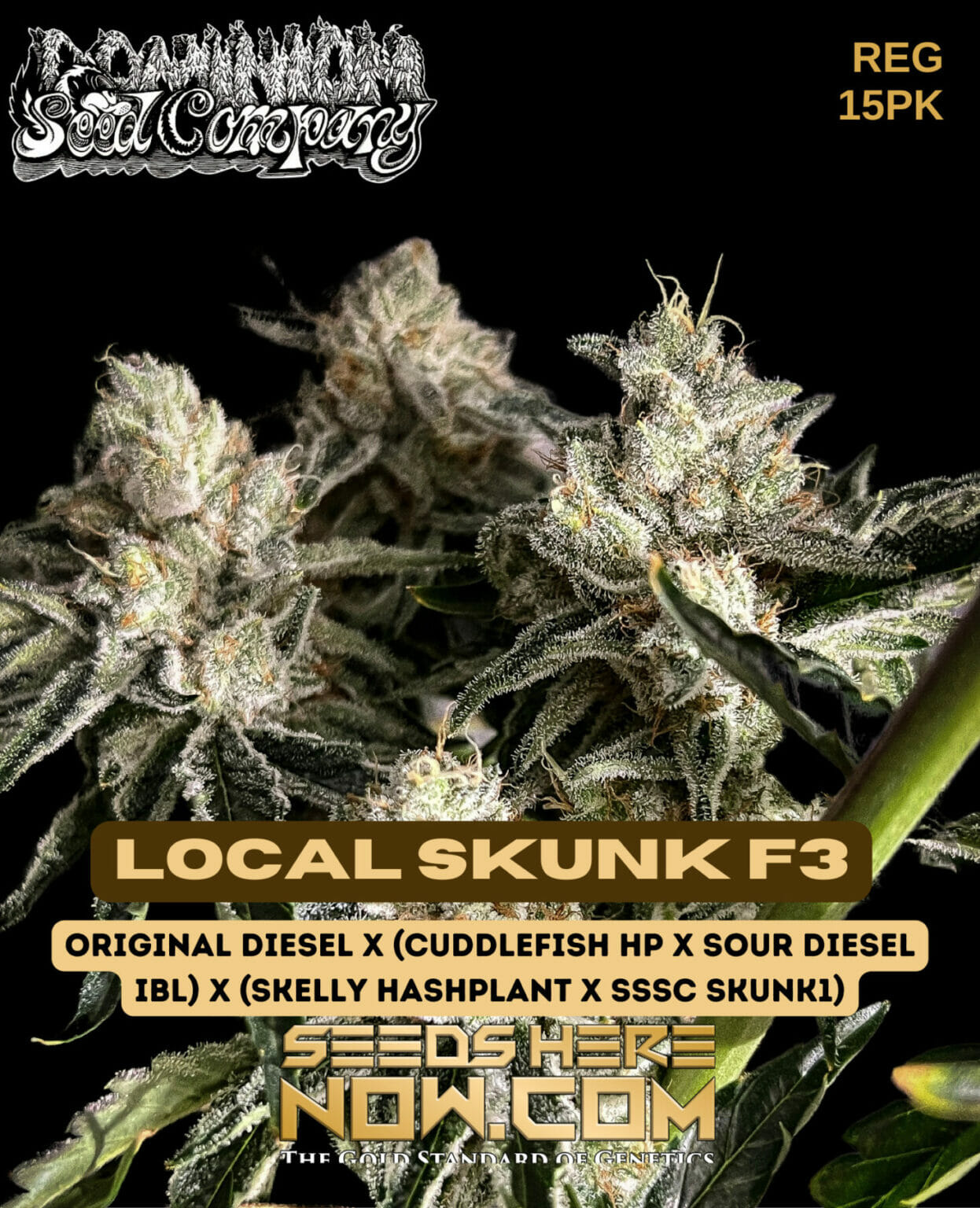 Dominion Seed Company – Local Skunk F3 {REG} [15pk] - Seeds Here Now