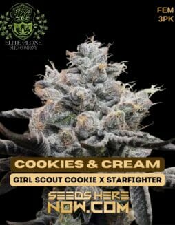 Elite Clone Seed Company - Cookies & Cream {FEM} [3pk]Elite Cookies & Cream