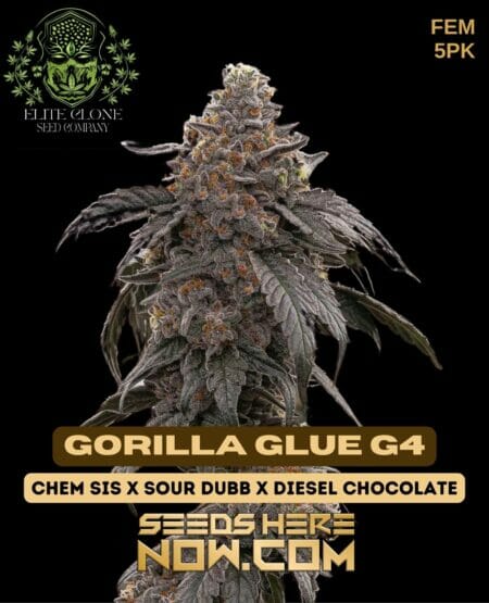 Elite Gorilla Glue G4