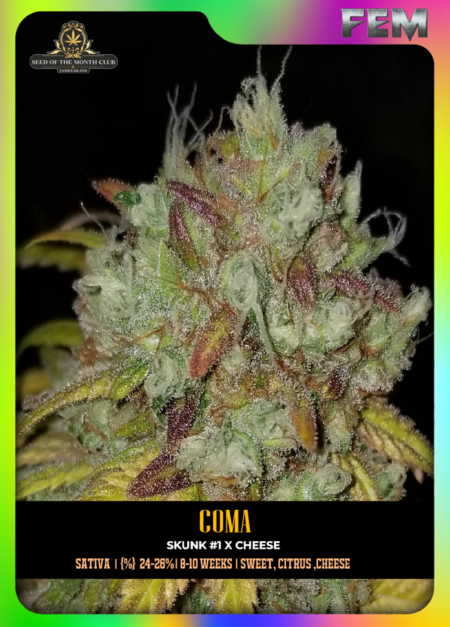 Coma Seeds Pic
