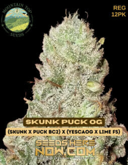 Mountain Top Seeds - Skunk Puck OG {REG} [12pk]Skunk Puck OG