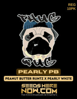 Thug Pug Genetics - Pearly PB {REG} [10pk]Thug Pug Pearly PB