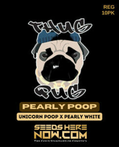 Pearly poop (regular) - thug pug genetics