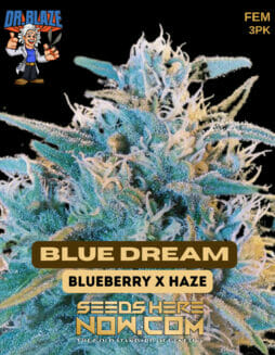 Dr. Blaze - Blue Dream {FEM} [3pk]Dr Blaze Blue Dream