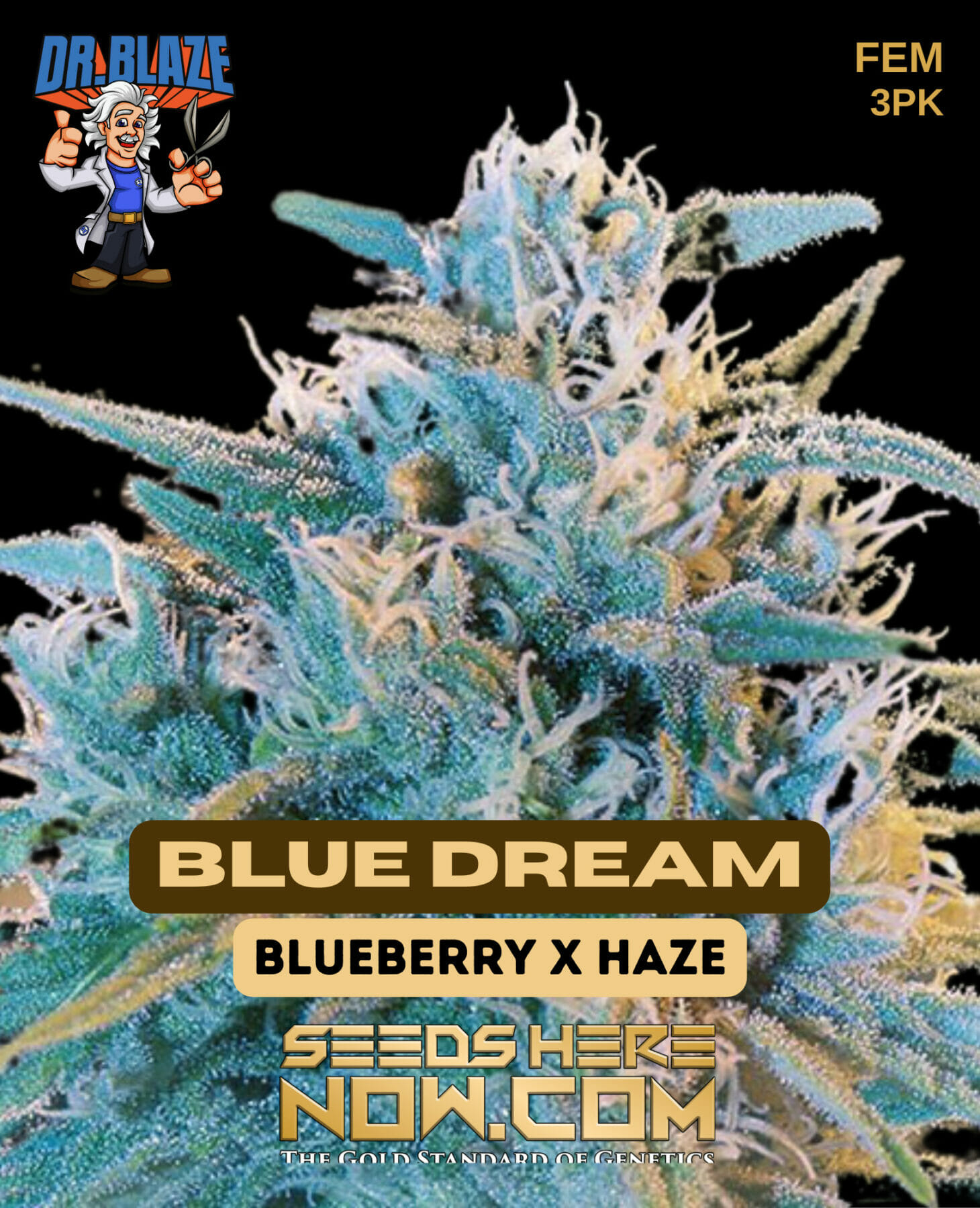 Blue Monster Strain ☑️ Your Bulk Seeds at the Best Price!