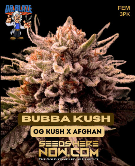 Dr Blaze Bubba Kush