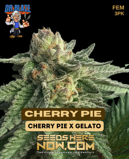 Dr Blaze Cherry Pie