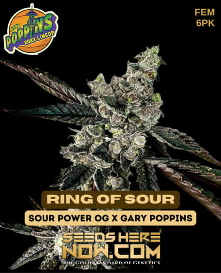 Exotic Ring of Sour