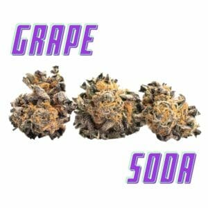 Grape Soda Strain Review And Information – Grape Soda Strain Review and Information